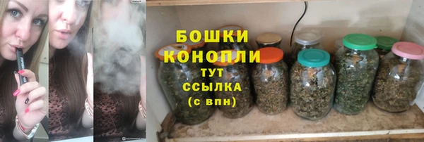 mdpv Белокуриха