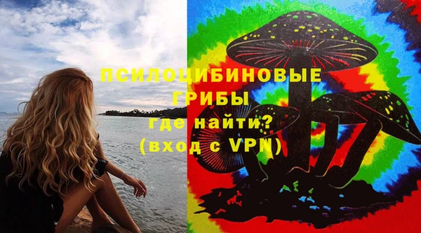 mdpv Белокуриха