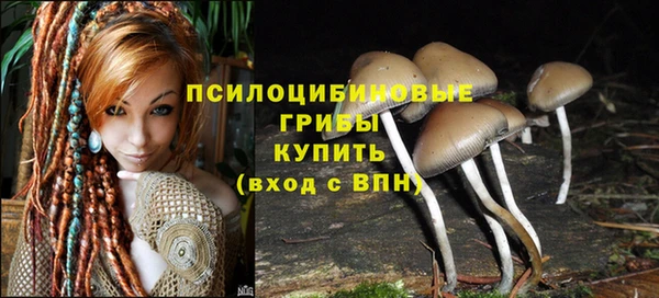 mdpv Белокуриха
