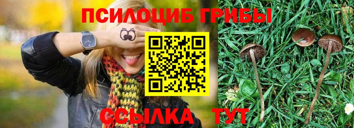 Галлюциногенные грибы Psilocybine cubensis  Вход с VPN  Наро-Фоминск 