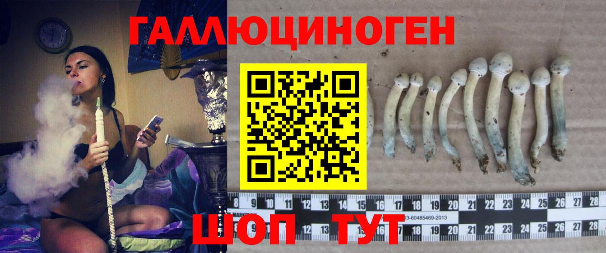 Псилоцибиновые грибы мицелий Наро-Фоминск